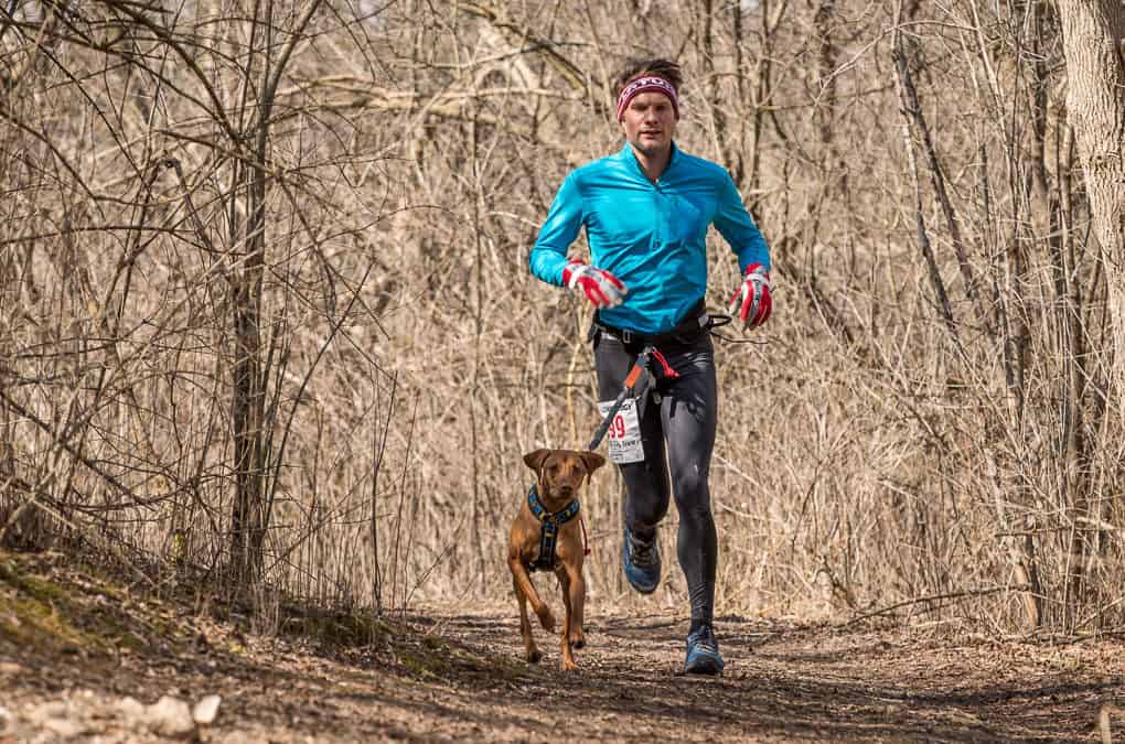 Canicross is Fun for Dogs and Runners