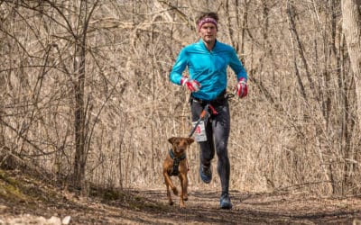 Canicross is Fun for Dogs and Runners
