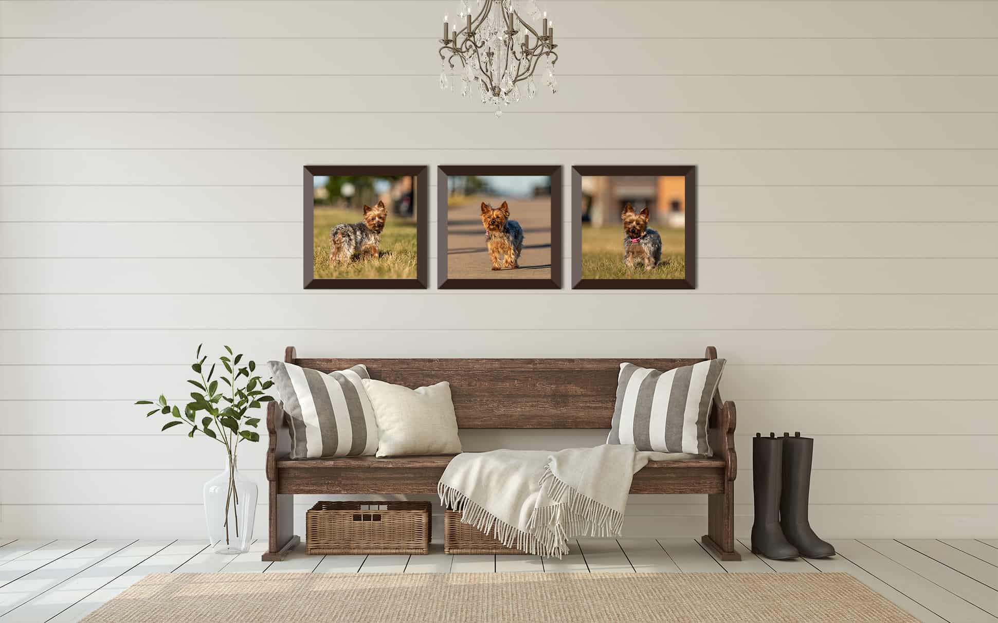 Three Framed Prints of a Dog in a Home Entryway