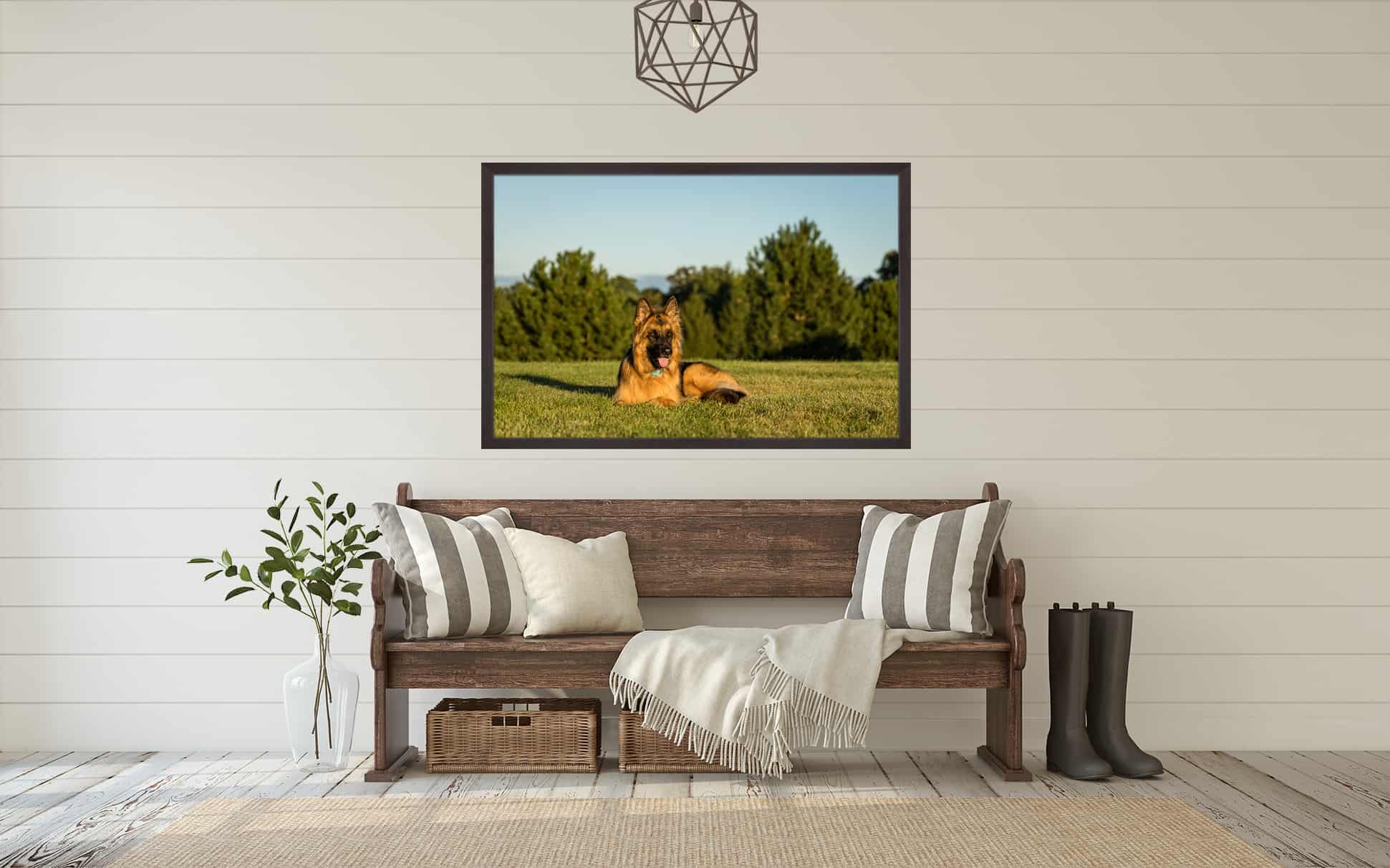 Framed Print of German Shepherd Dog in Home Entryway