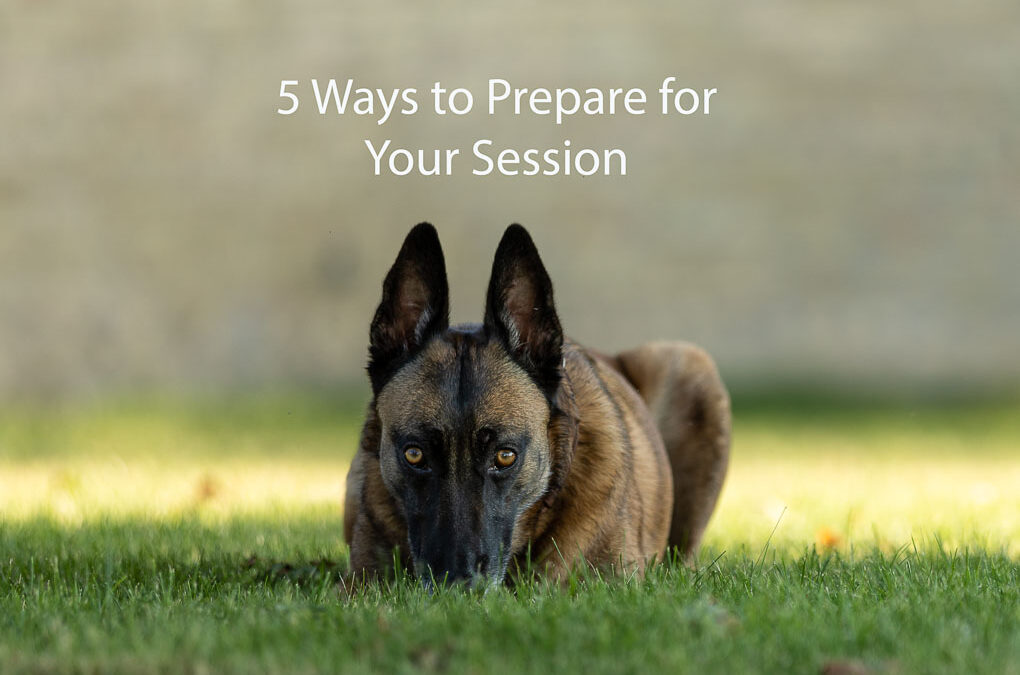 5 Ways to Prepare for Your Session