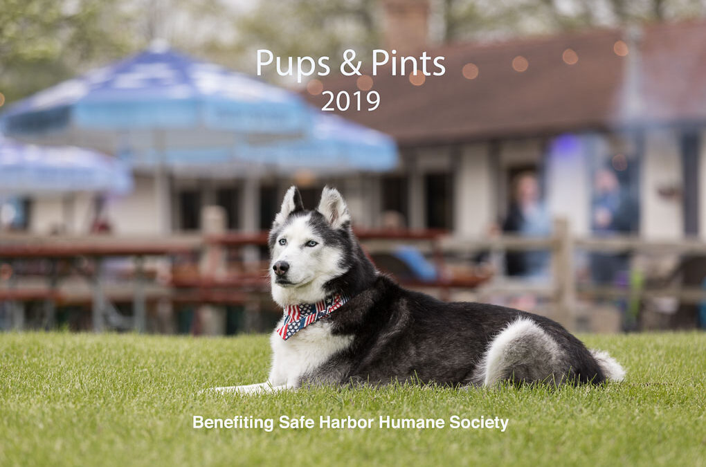 Pups & Pints – Save the Date!