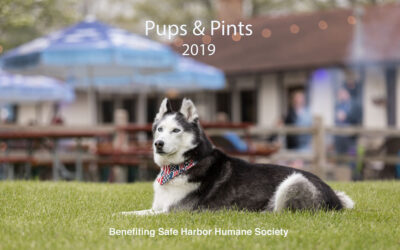 Pups & Pints – Save the Date!