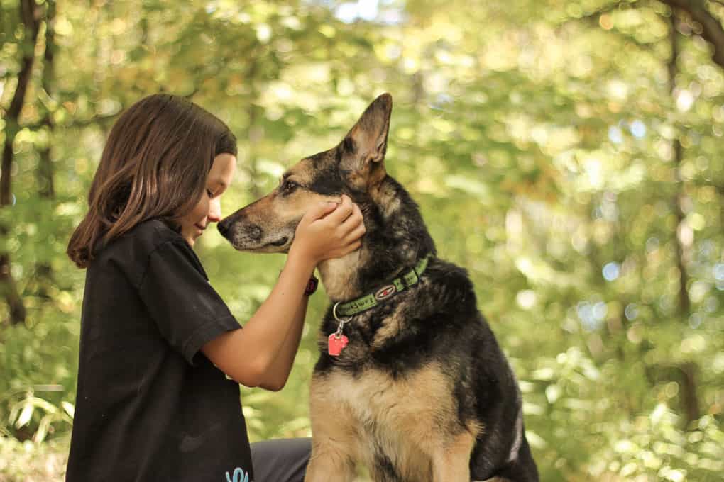 A Girl and Her German Shepherd in a Forest Shadow Dog Photography