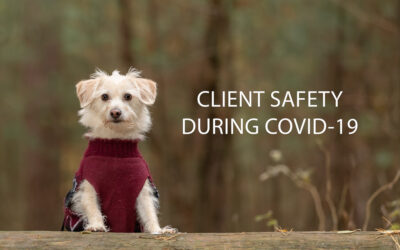 Client Safety During COVID-19