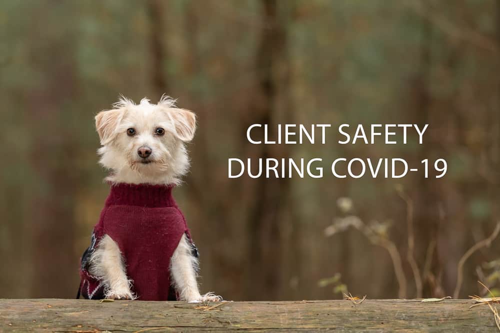 Client Safety During COVID-19