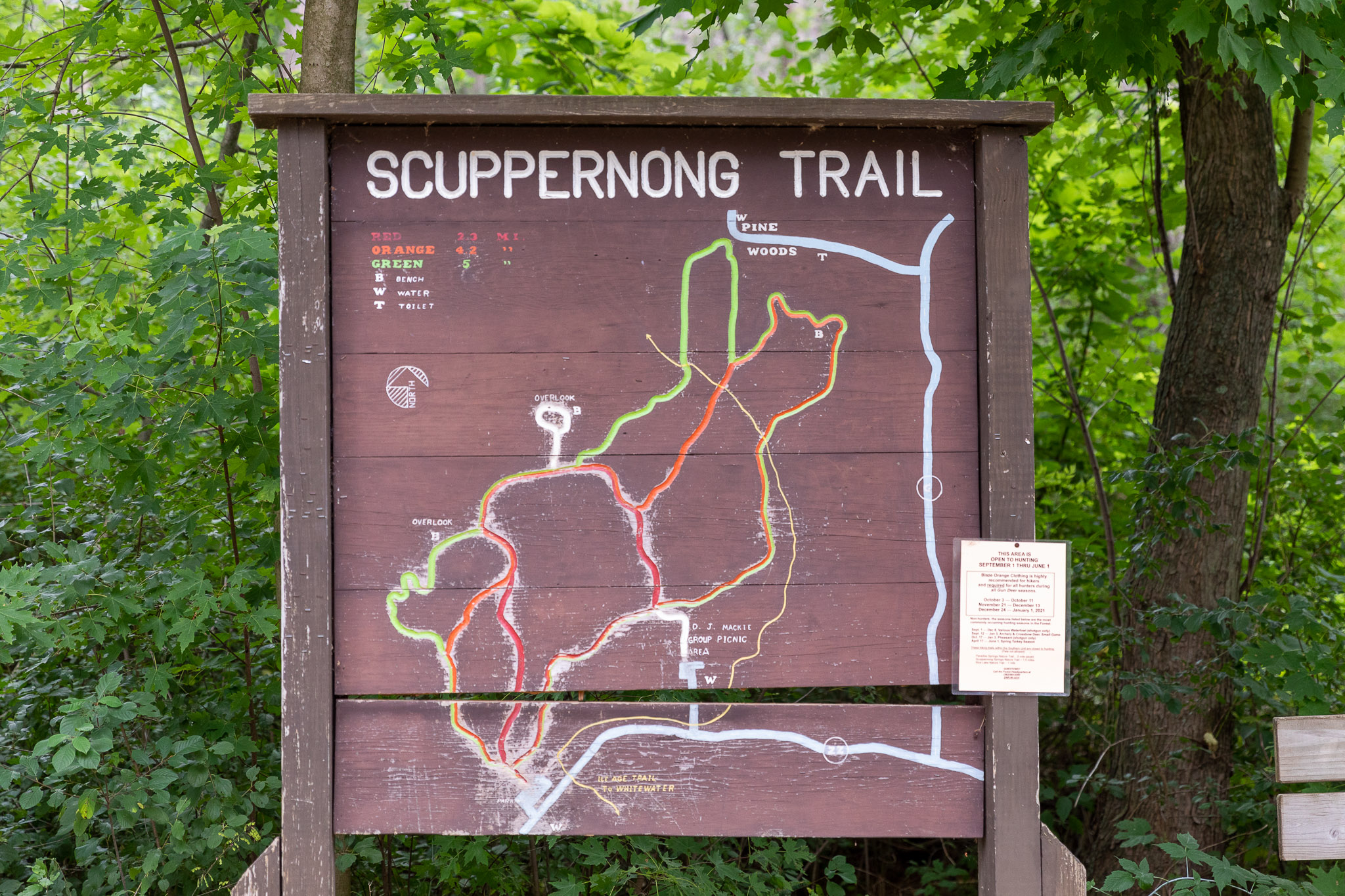 Scuppernong Trail Dousman Wisconsin Shadow Dog Photography