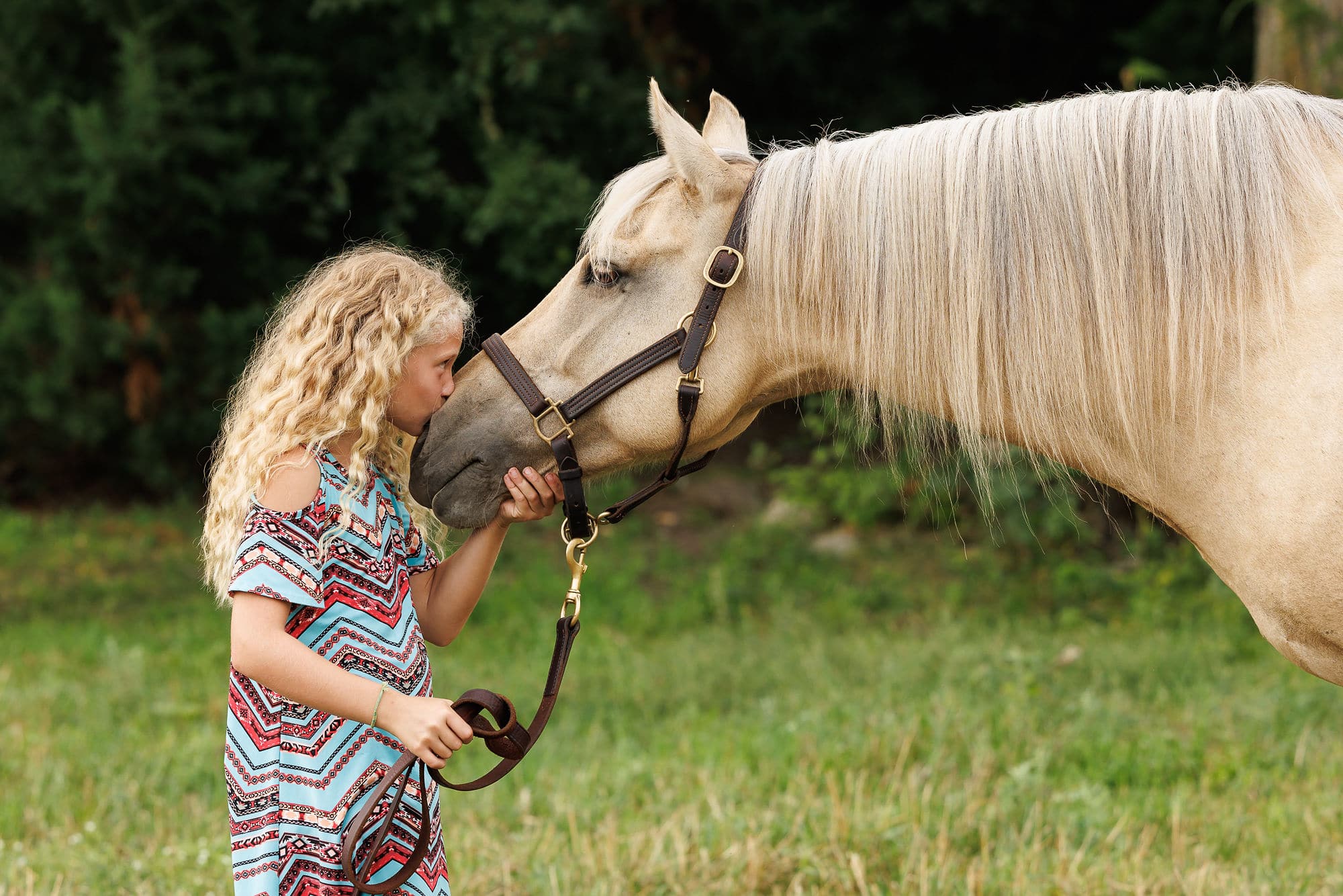 girl kissing horse shadow dog photography