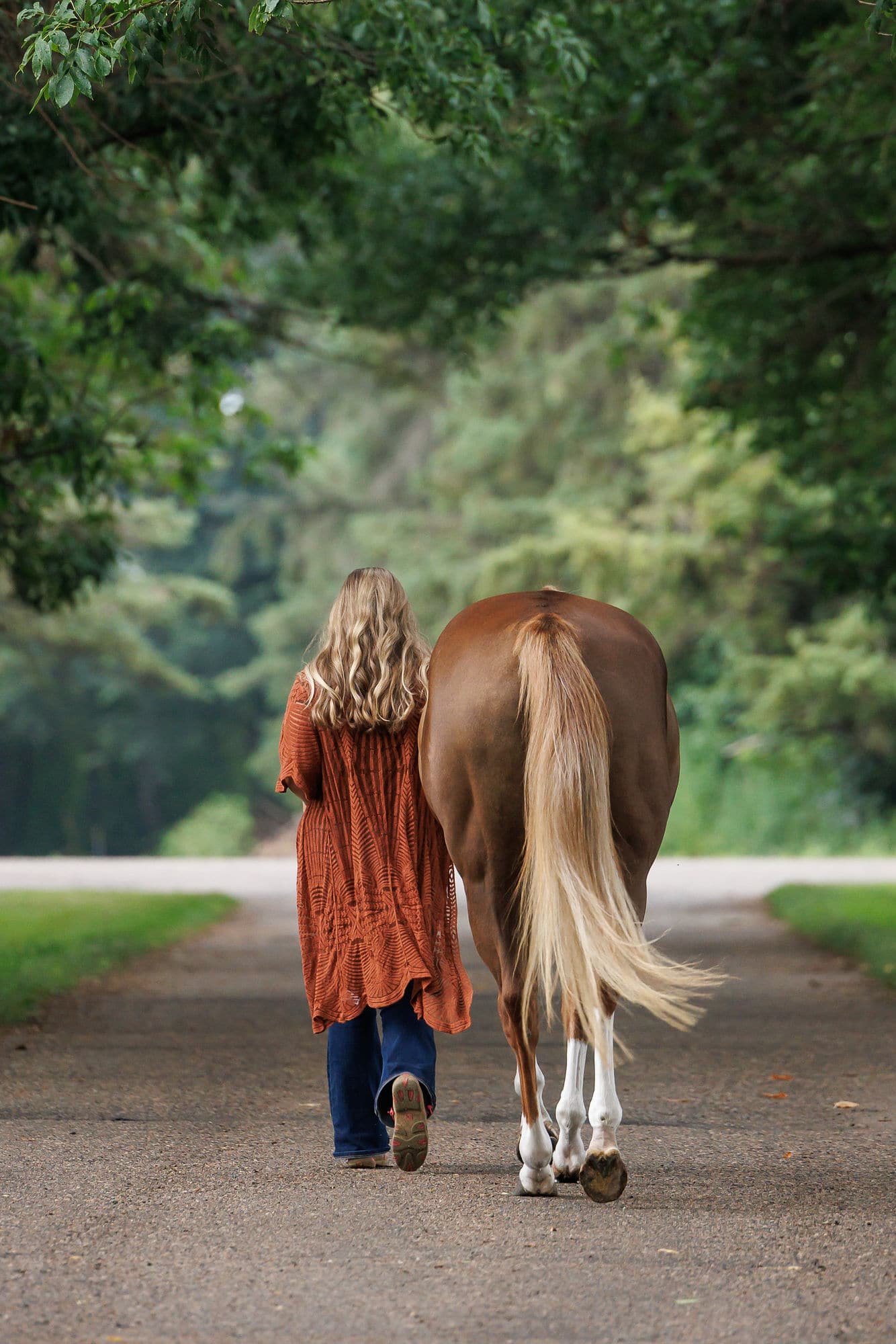 woman and horse walking backside shadow dog equine photography