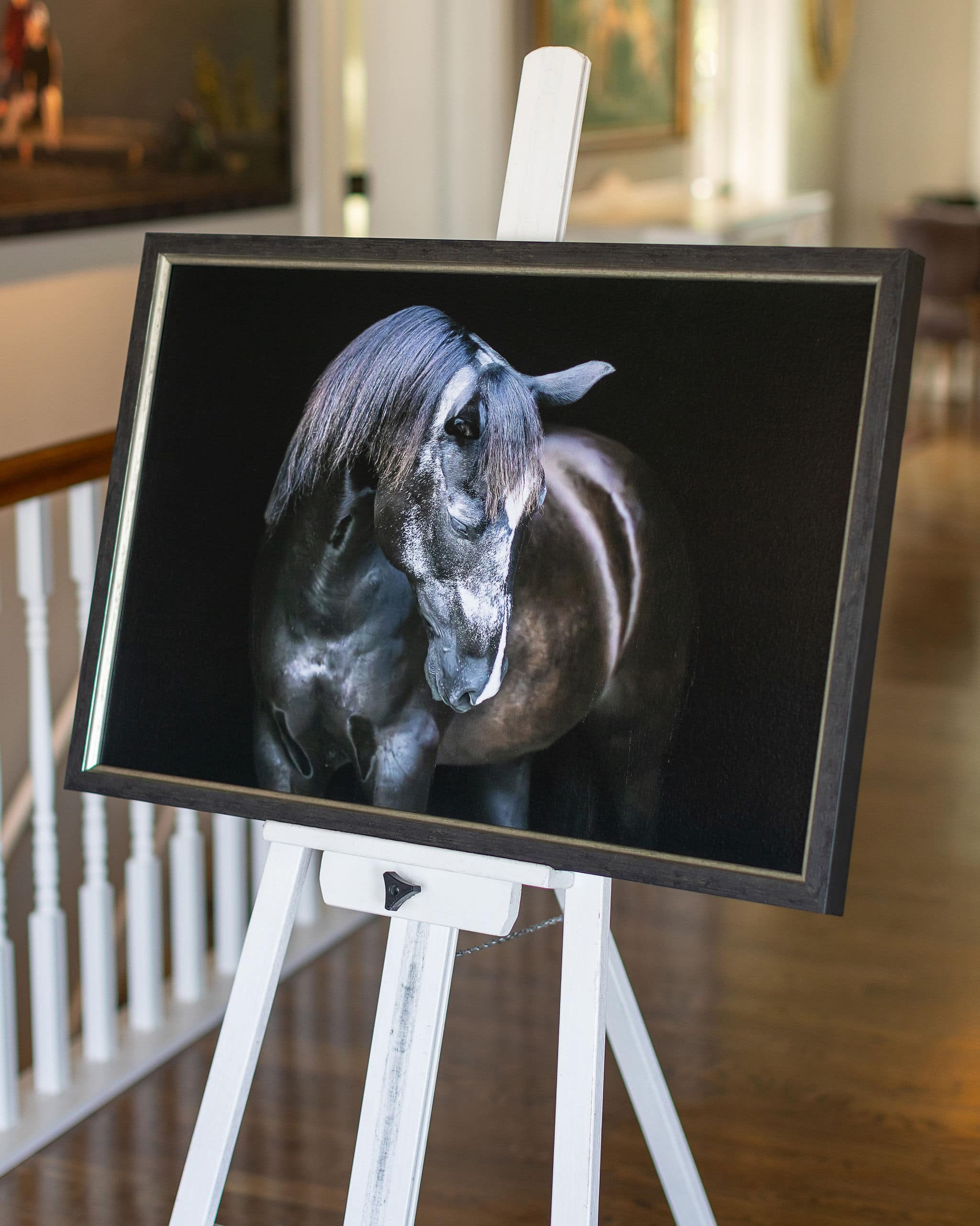 framed guild canvas wisconsin equine photographer