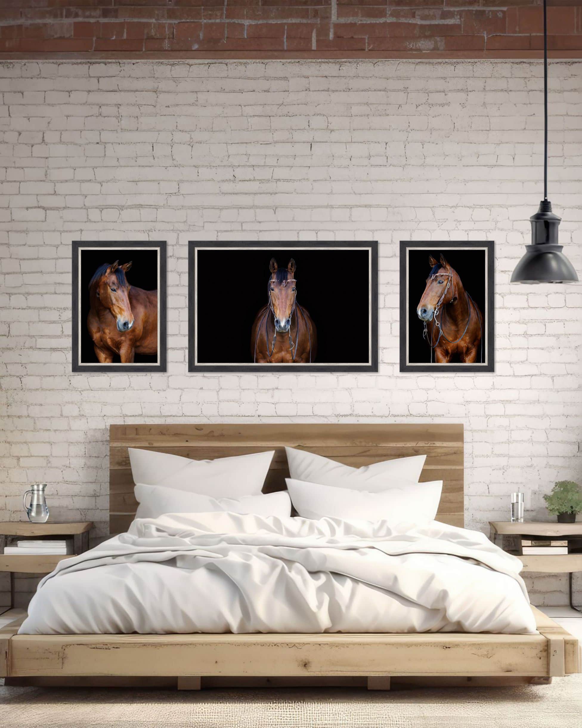 gallery of equine wall art wisconsin equine photographer