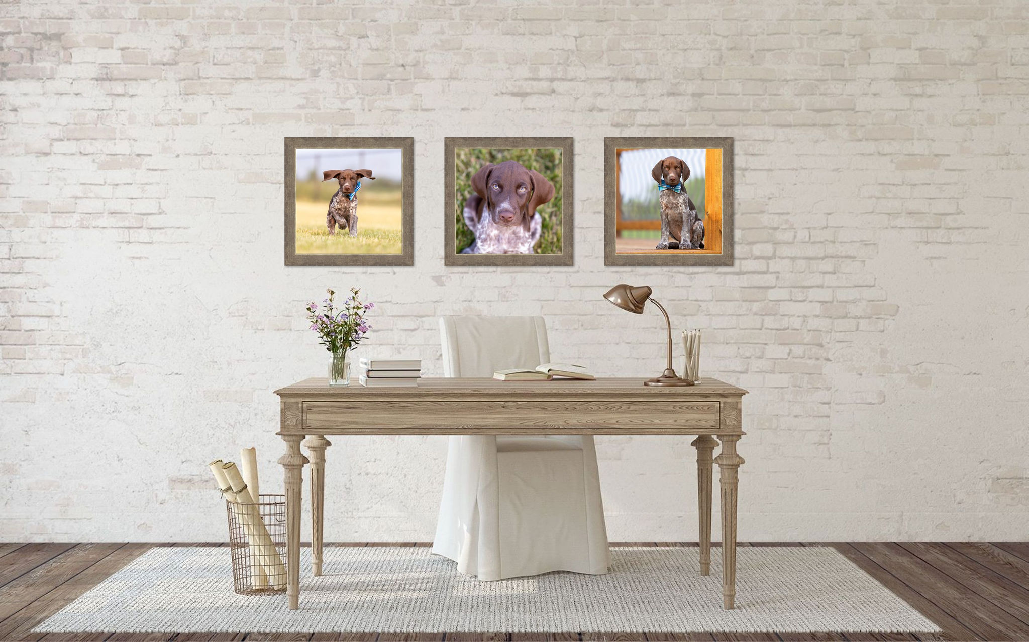 puppy pictures framed in office shadow dog photography