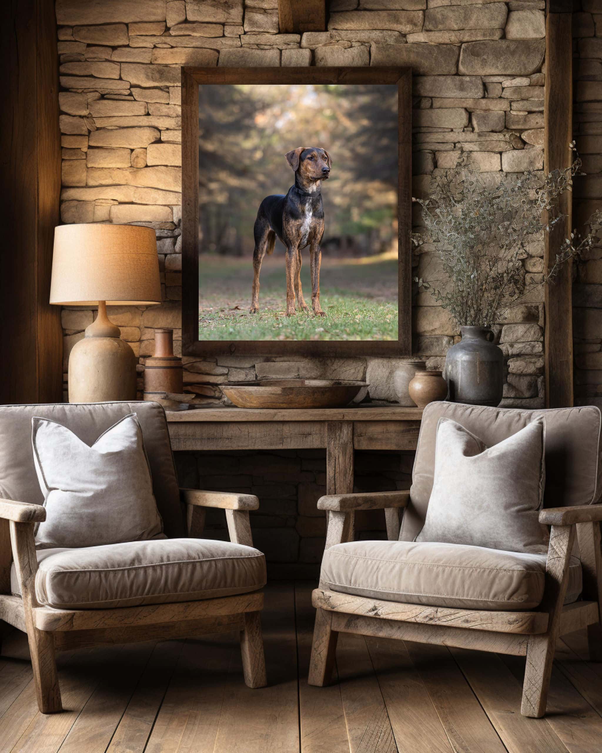 dog standing in grass framed shadow dog photography