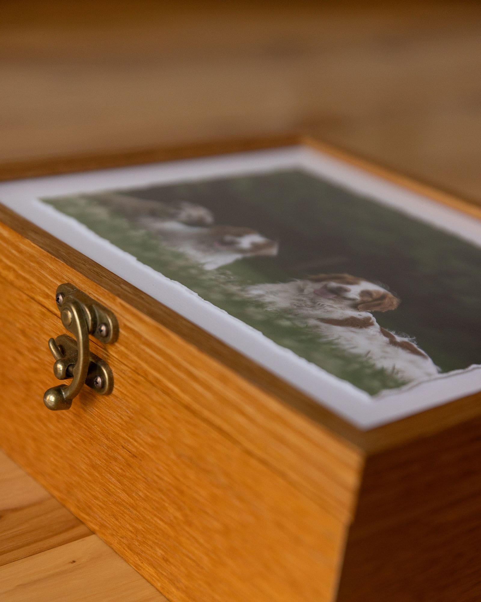 keepsake box close-up shadow dog photography