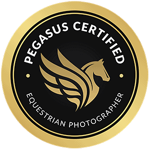 pegasus certified badge